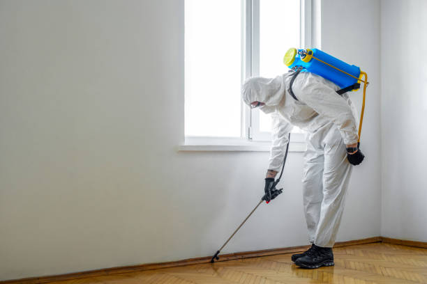 Best Pest Control Near Me  in Orchards, WA