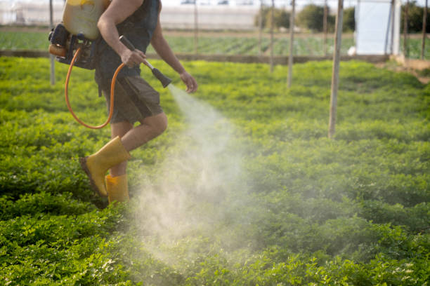 Best Ant Control Services  in Orchards, WA