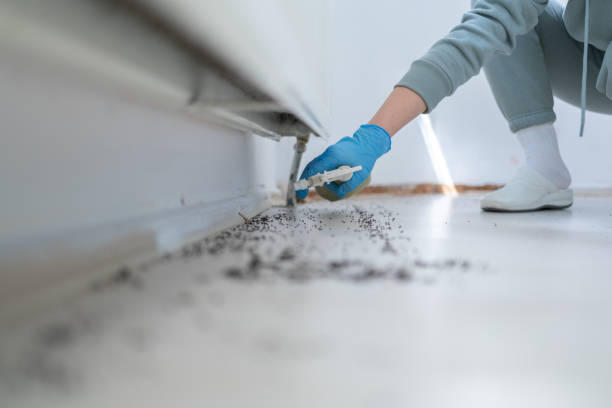 Flea Control Services in Orchards, WA